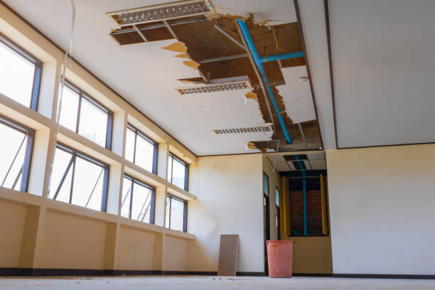 Best Water damage restoration experts  in Moravian Falls, NC