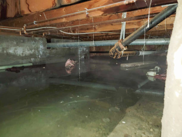 Best Water damage restoration specialists  in Moravian Falls, NC