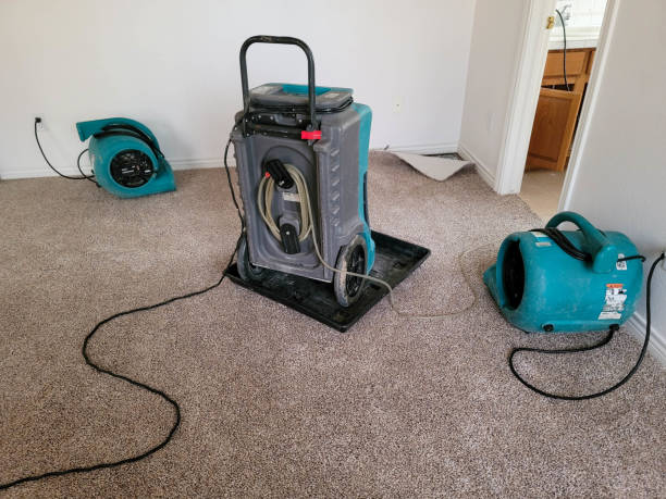 Best Emergency water damage restoration  in Moravian Falls, NC