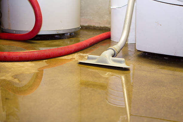 Best Water damage restoration cost  in Moravian Falls, NC