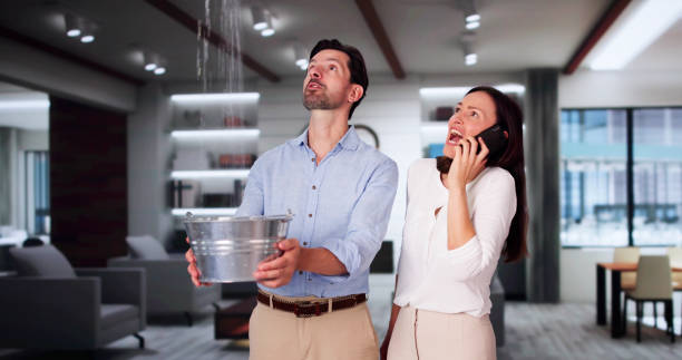 Best Commercial water damage restoration  in Moravian Falls, NC