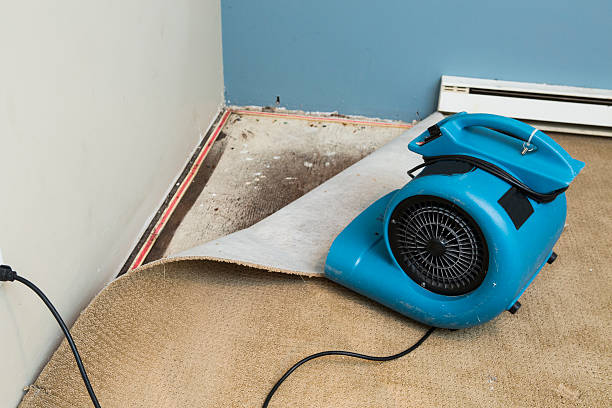 Best 24-hour water damage restoration  in Moravian Falls, NC